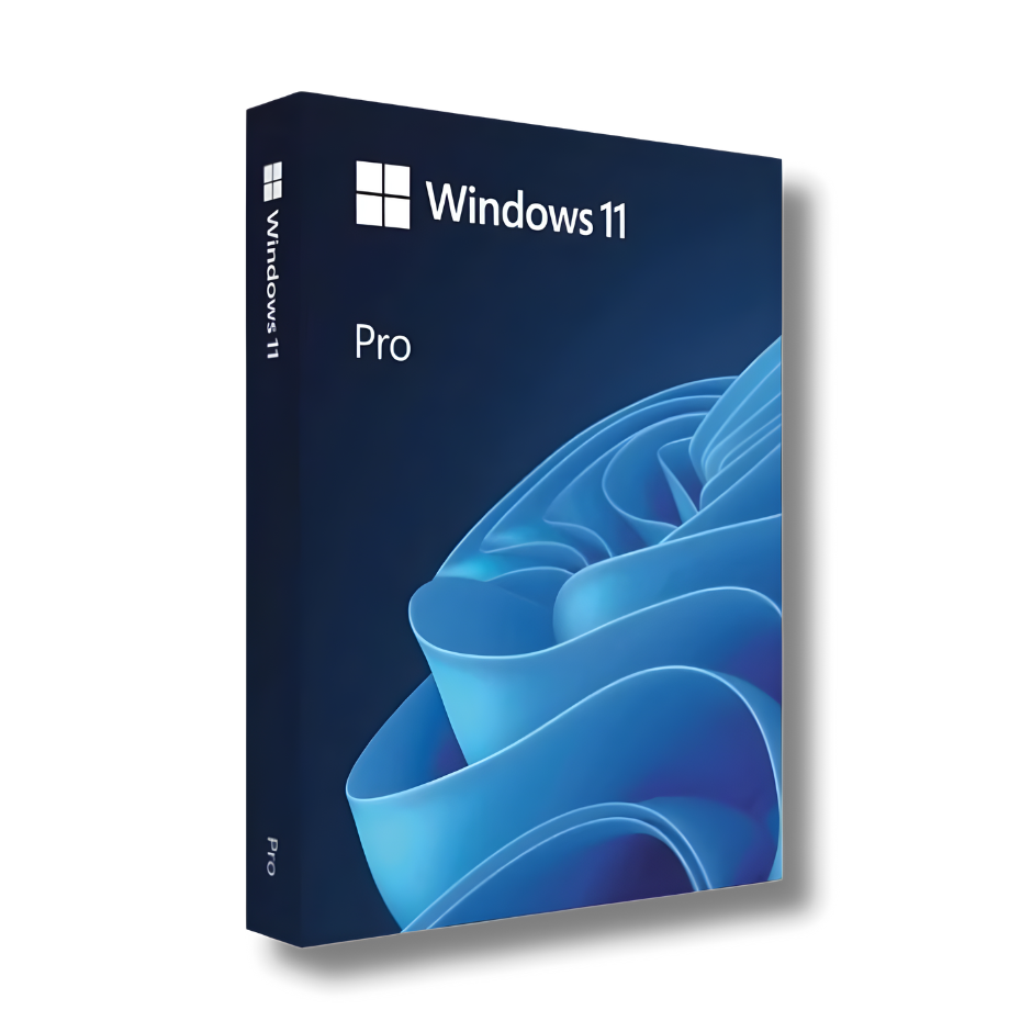 Windows 11 Pro 1PC